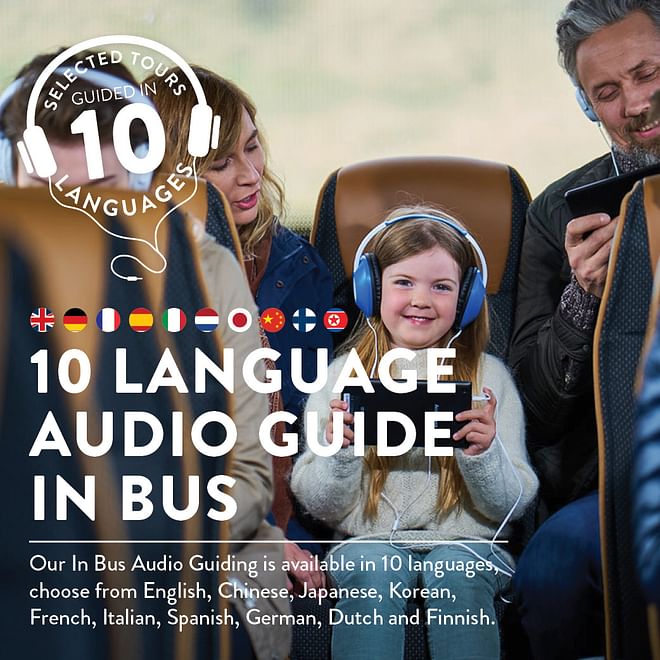  NORTHERN LIGHTS AND STARGAZING (Guided in 10 languages)