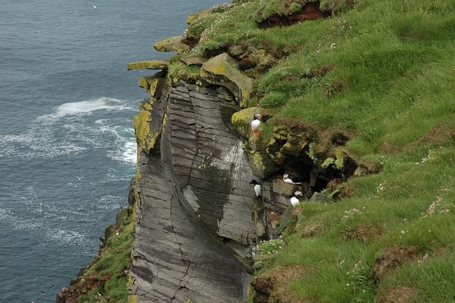 Excellent Birding Sites