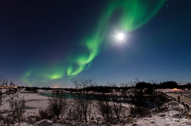 Northern Lights Tour (Private groups only)