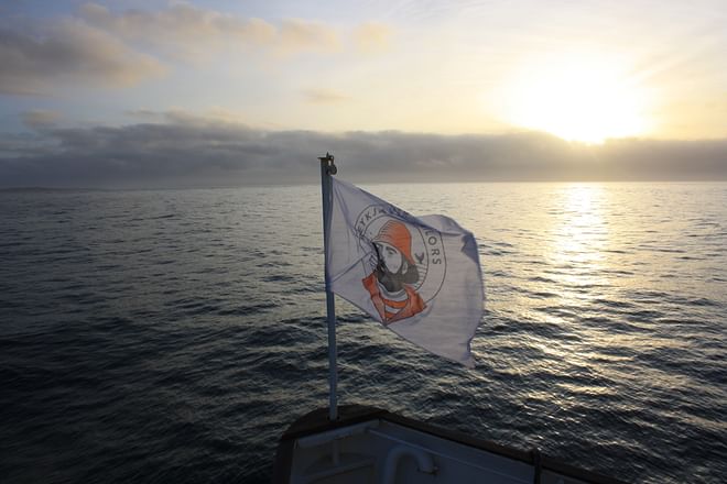 Whale Watching & Northern lights Combo Cruise from Reykjavik