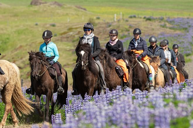 03A - Meadows and Mountains