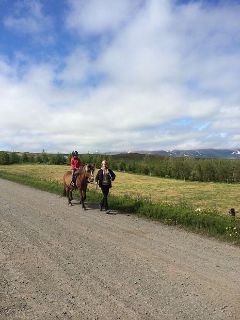 Kids Horse Riding Lesson (Akureyri) Skjaldarvik