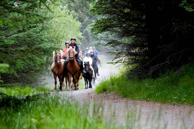 05C - Riding and Relaxation