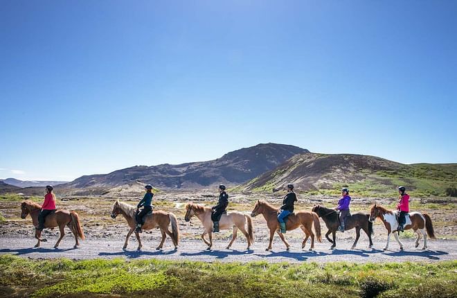 Private Horseback Riding Tour