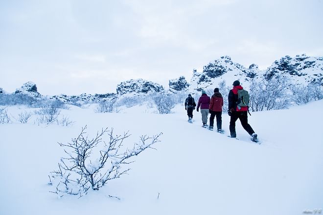 Lake Mývatn Snowshoe Hiking 