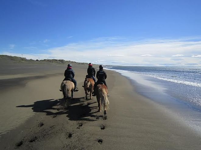 Beach Horse Riding Tour - Ölfus 