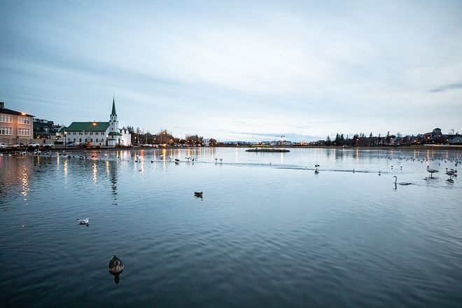 Private Reykjavik City tour with transportation option