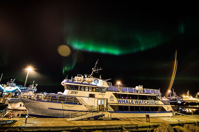 Northern Lights by Boat with a Backup Plan