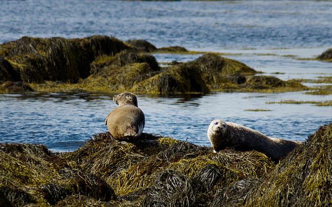 Snæfellsnes National Park