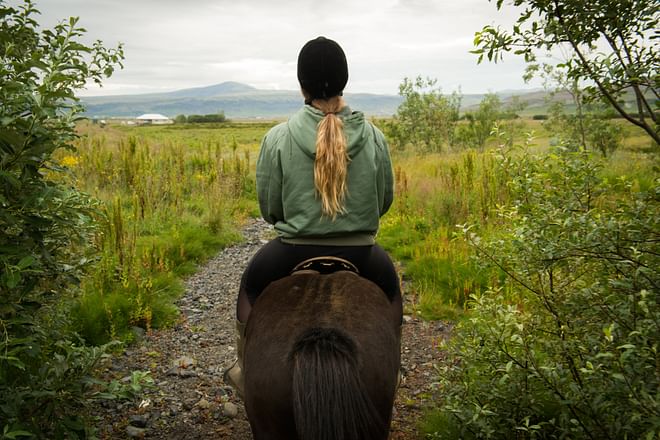 Horse Riding Tour in Reykjadalur (Hotspring Valley) 