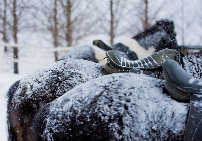 02E - The Elfin Tour