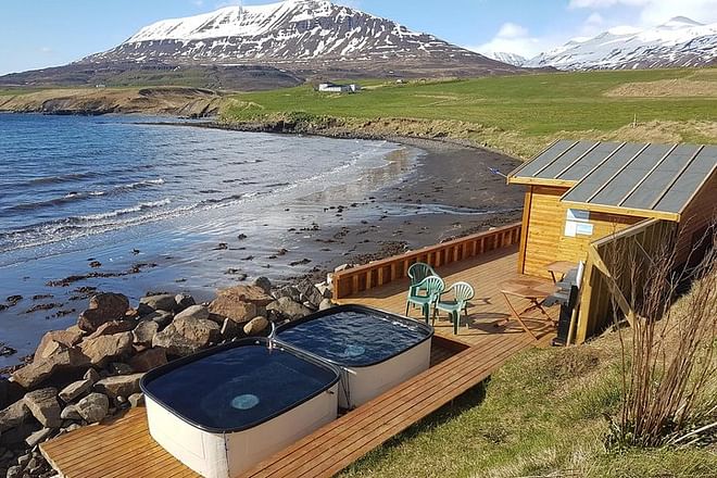 Whale Watching and Sea Angling Tour 