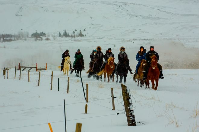 02C - Specialty of the Season