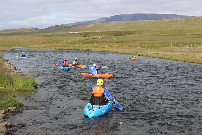 Kayak trip