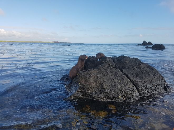 Adventure Circle Tour