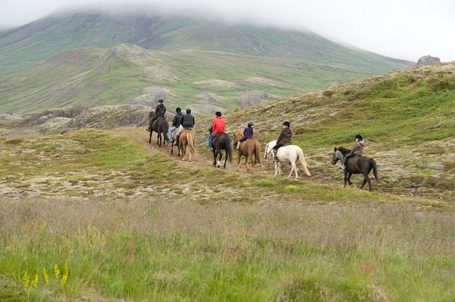 Viking Horse Riding Tour and Golden Circle with hotel pickup