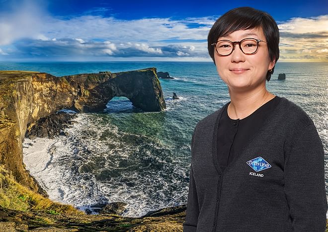 South Iceland, Waterfalls & Black Sand Beach with hotel pickup