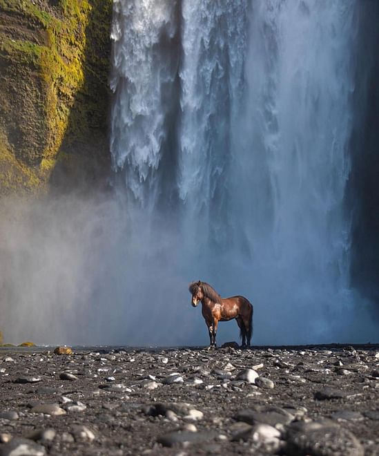 Private South Coast with Snowmobiling(option) on Eyjafjallajökull volcano