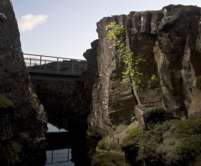 Golden Circle for Combos only