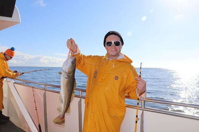 Whales & Sea Angling