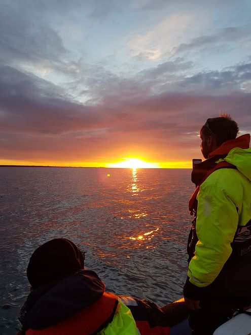 Premium Whales & Midnight Sun