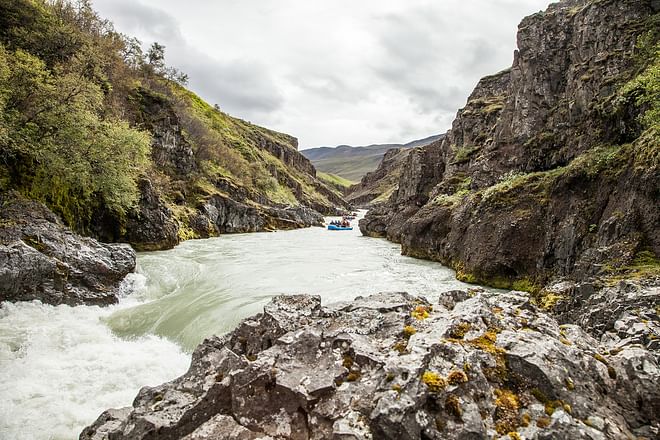 Whitewater Action (East)