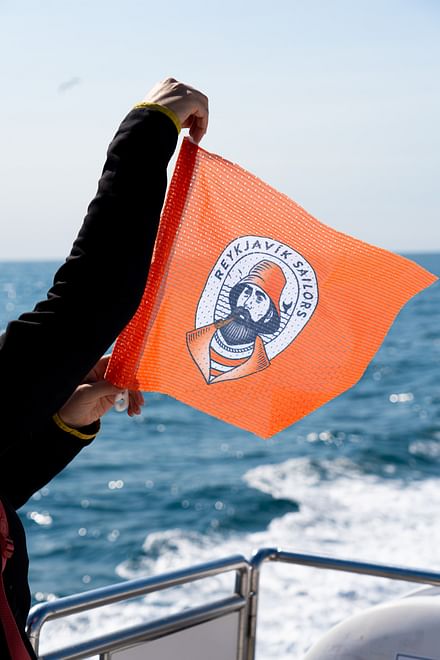 Best Value Whale Watching tour from Reykjavik