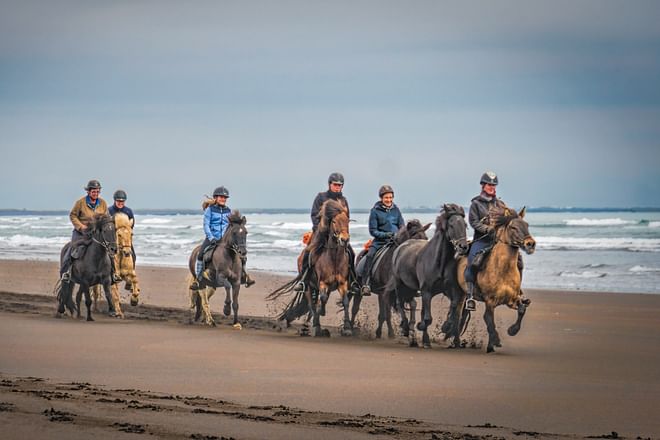 06A - The Beach Ride