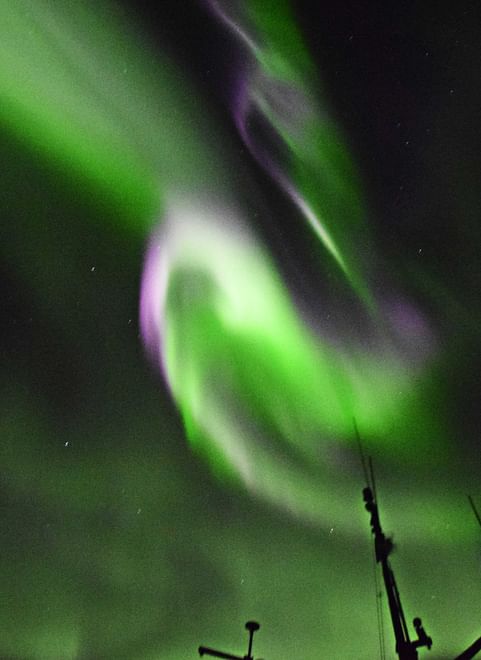 Horses & Northern Lights by boat