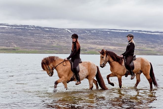 Private Horse Riding Tour (Akureyri) Skjaldarvik
