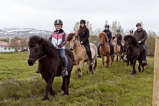 Horse Riding Tour - 1hr (Akureyri) Gásir
