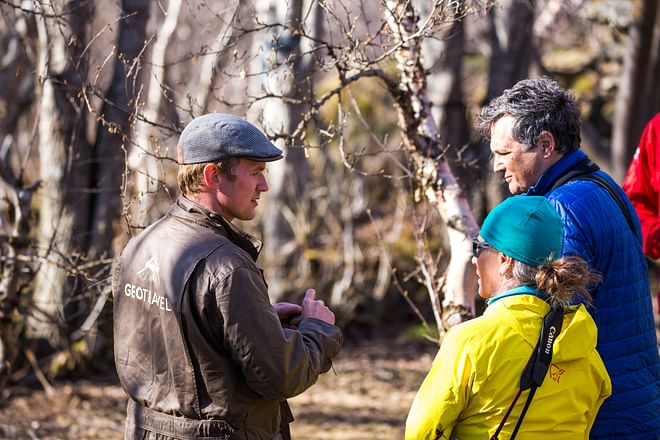 Lake Mývatn Birdwatching