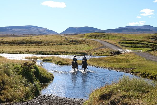 The Viking-Ride- All in One