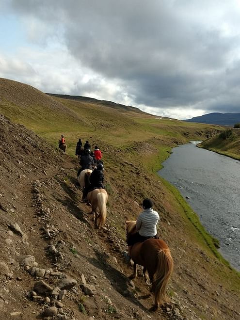 The Viking-Ride- All in One