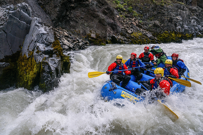 Whales & White Water Rafting