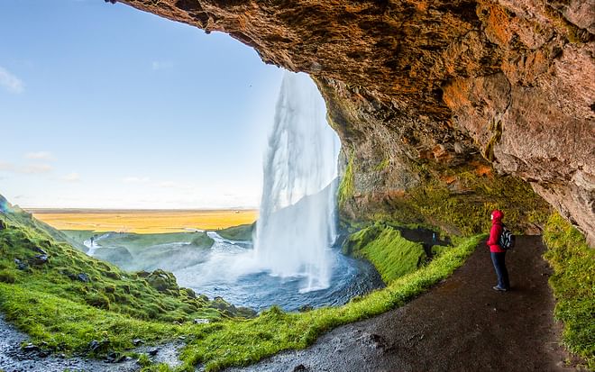 Private South Coast Tour