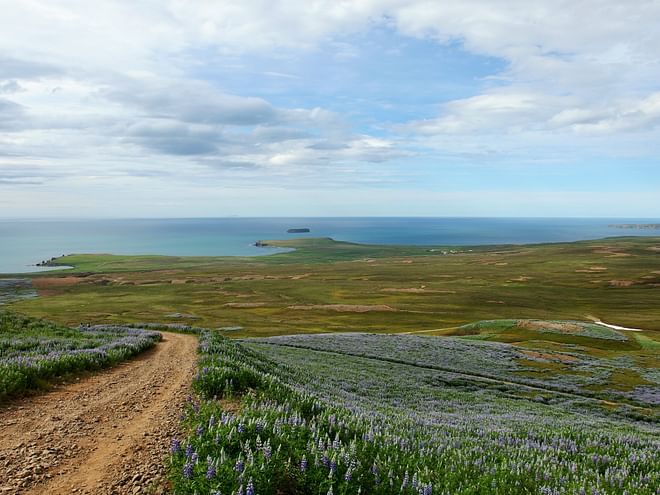 Húsavík walking tour – with hike to Húsavíkurfjall