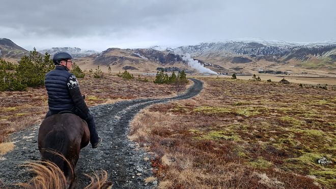 Horse Riding Tour in Reykjadalur (Hotspring Valley) 