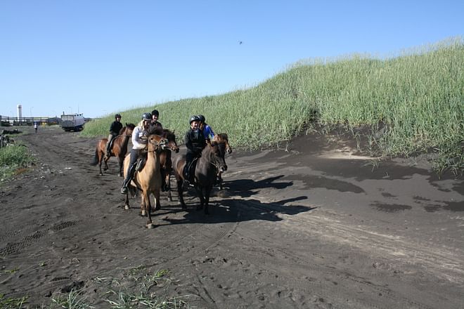 Beach Horse Riding Tour - Ölfus 