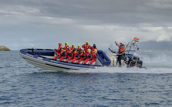 Whales, Puffins & Reykjavík