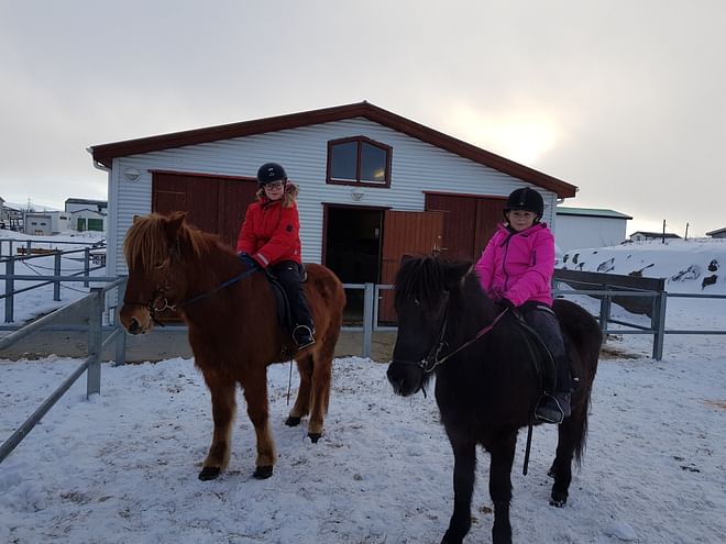 1 Hour - Winter Red lava Tour (With or Without Pickup) 