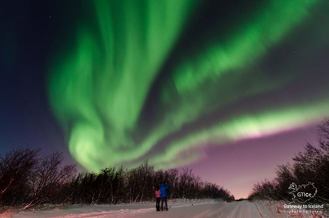 Northern Lights Tour (Private groups only)