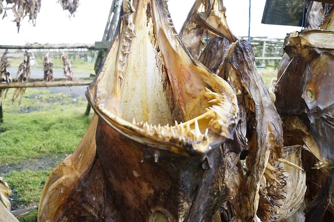 Private Reykjanes peninsula