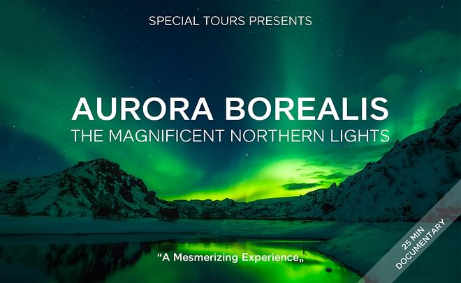 Northern Lights by Boat with a Backup Plan