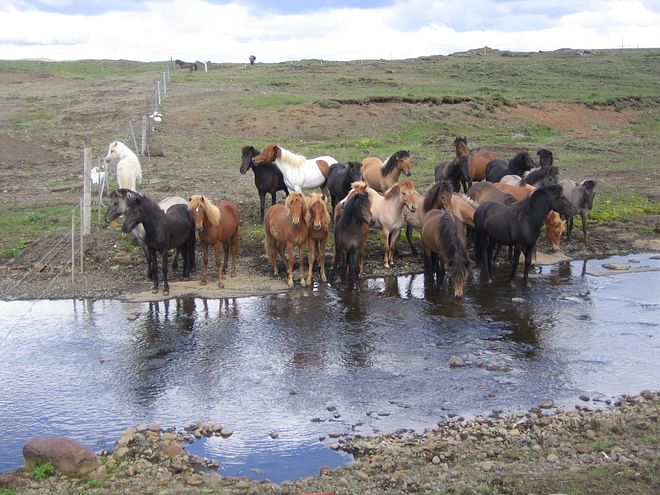 Volcano Tour 2022 (4 Days)