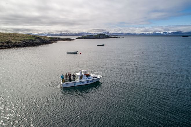 Ocean Adventures Puffin tour
