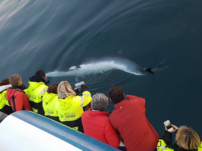 The Lava Tunnel and Whale Watching