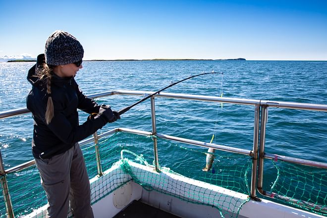 Ocean Adventures Sea Angling