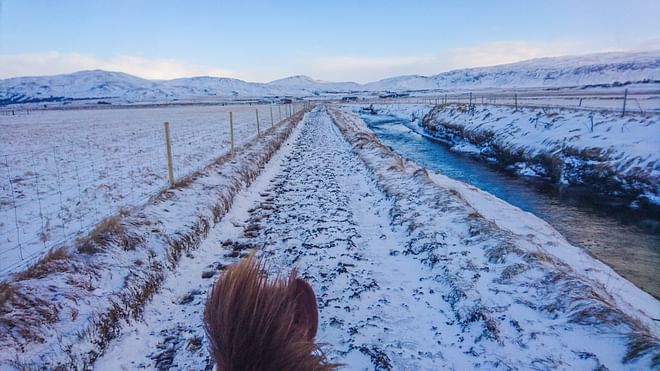 03A - Meadows and Mountains