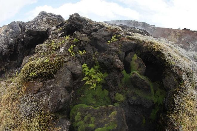 Private Reykjanes peninsula
